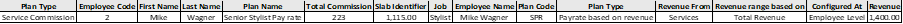 Payroll_Plan_01.png