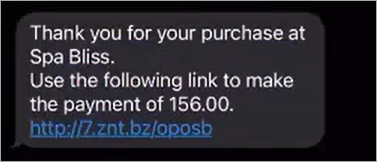 Text2Pay_02.png